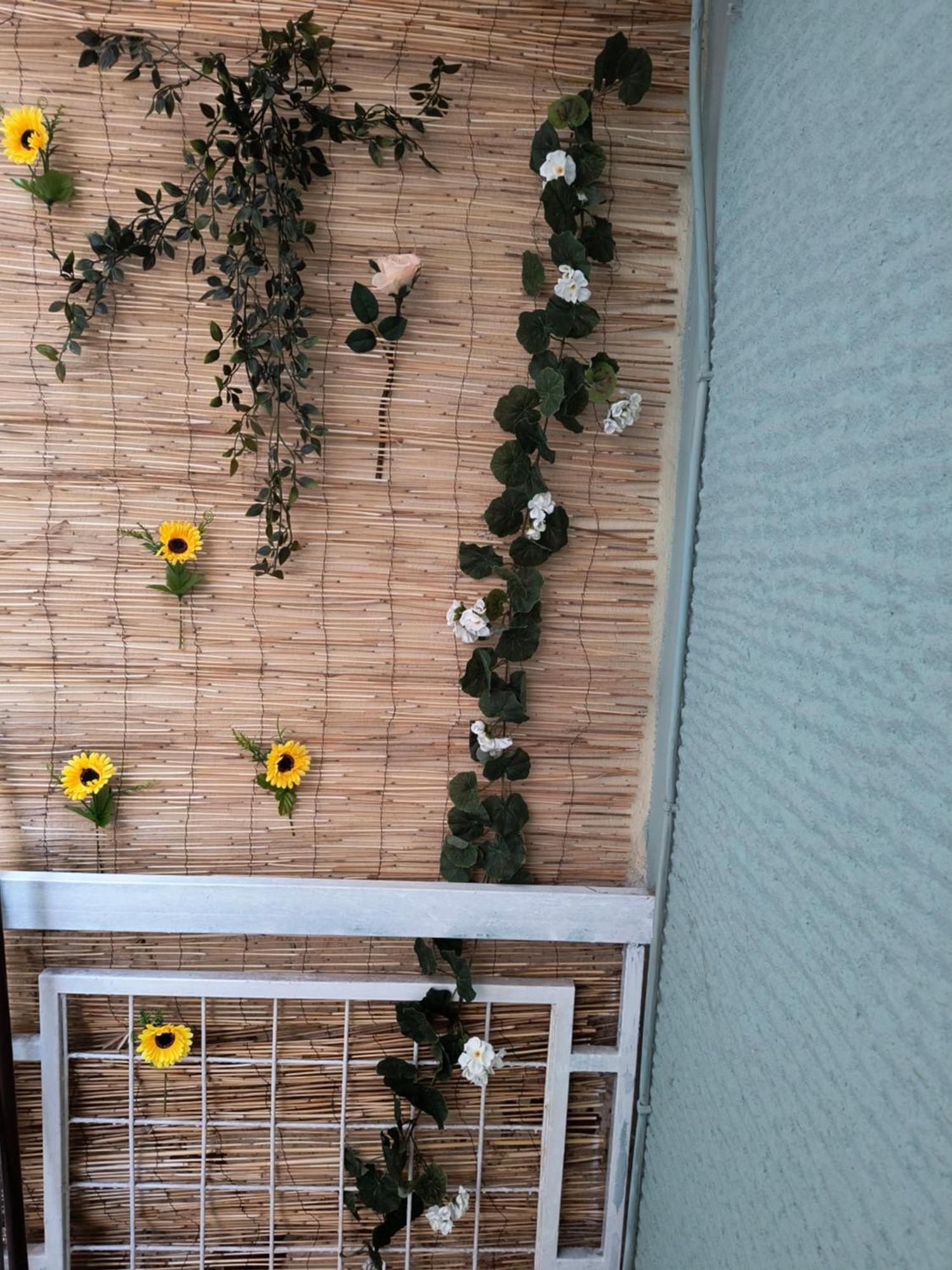 Amelies Apartments Paralía エクステリア 写真